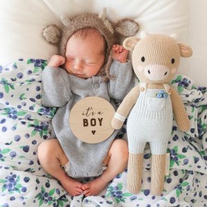 Asher the cow - Image 5