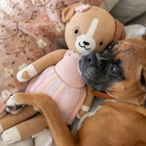 Bea the dog - Image 7