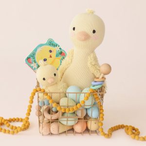 Finley the duckling - Image 7